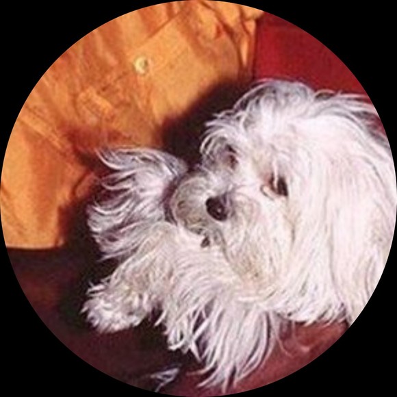babichon_world